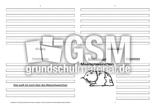 Meerschweinchen-Faltbuch-vierseitig.pdf